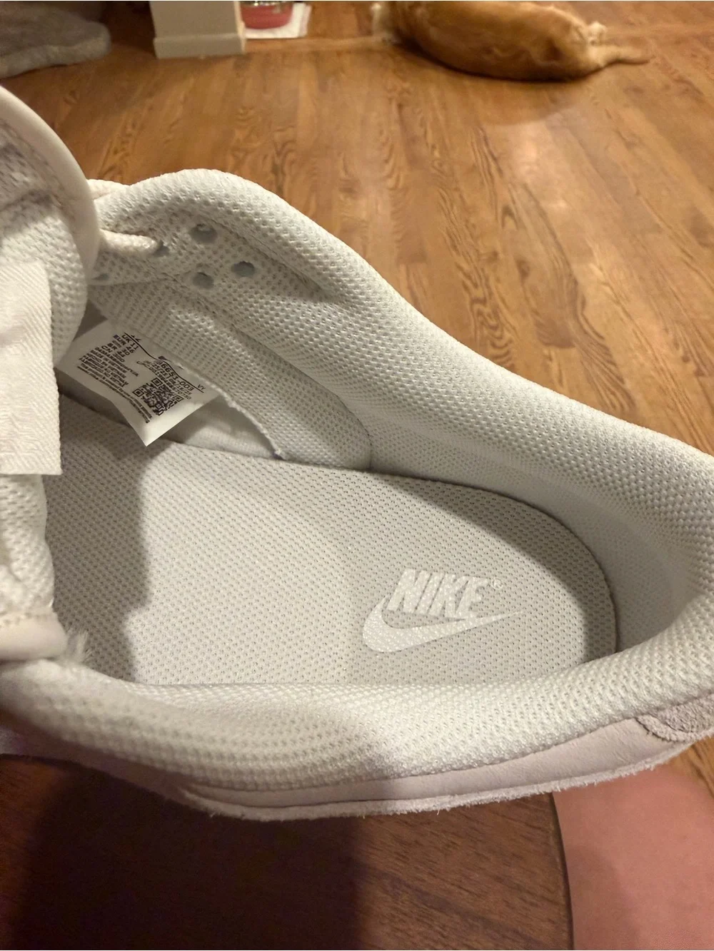 Nike low top